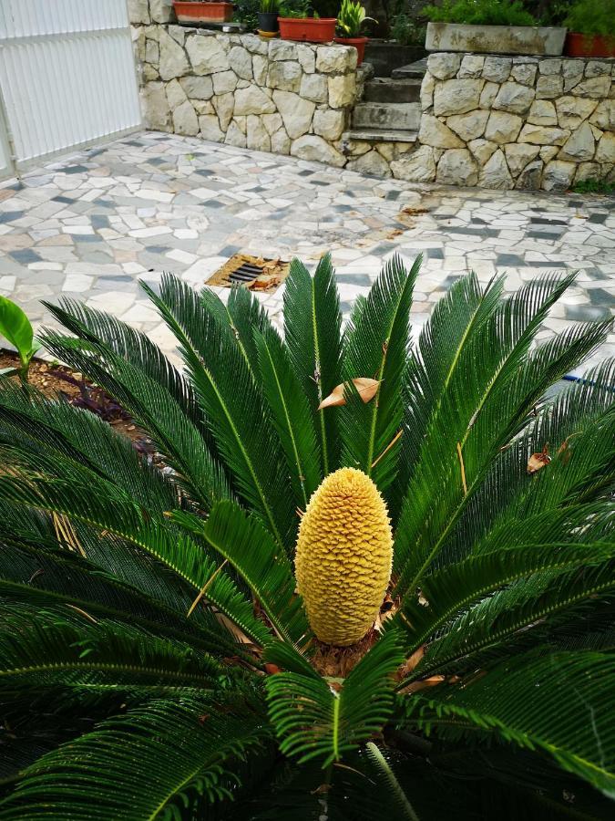 Apartment Meje Split